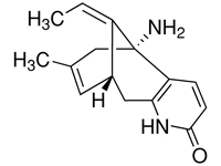 石杉堿甲