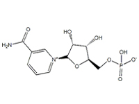 煙酰胺核苷酸