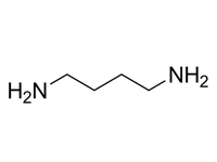 1,4-丁二胺