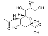 N-乙酰神經(jīng)氨酸