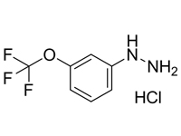 3-三氟甲氧基苯肼鹽酸鹽，98%（HPLC）