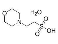 2-(N-嗎啉）乙磺酸一水合物，99%