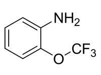 2-三氟甲氧基苯胺, 99%（GC)