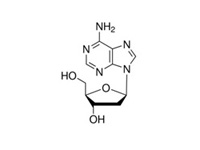 2-脫氧腺苷, 99%