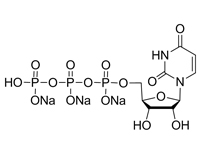 5’-三磷酸尿苷三鈉(UTP)，99%