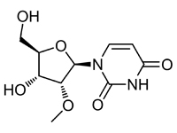 2'-甲氧基尿苷