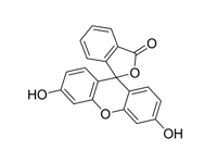 熒光素溶液，5g/L