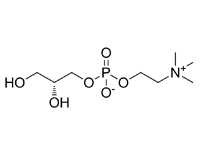 甘油磷酸膽堿, 98%