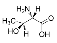 L-別蘇氨酸，95%(HPLC)