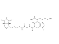 生物素三肽-1 (生發(fā)肽)，98%