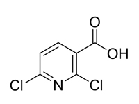 2,6-二<em>氯</em>吡啶-3-羧酸，98%