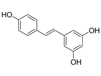 白藜蘆醇, 98%（GC)