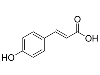 對(duì)羥基肉桂<em>酸</em>，98%（HPLC）