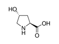 L-羥基脯氨酸，99%