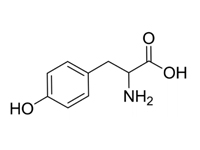 DL-酪氨酸，98%