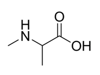 N-甲基-DL-丙氨酸，98%（HPLC）