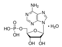 腺苷-5-單磷酸，98%