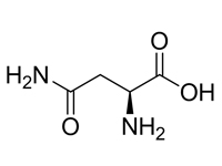 L-天冬酰胺（無水），97%