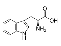 L-色氨酸，99%