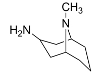 內(nèi)-3-胺-9-甲基-9-氮雜雙環(huán)[3,3,1]壬烷