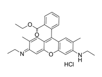 羅丹明6G，BS