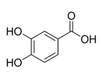 3，4-二羥基苯甲酸，CP，98%